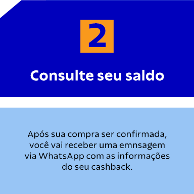 Consulte seu saldo
