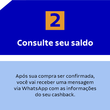 Consulte seu saldo