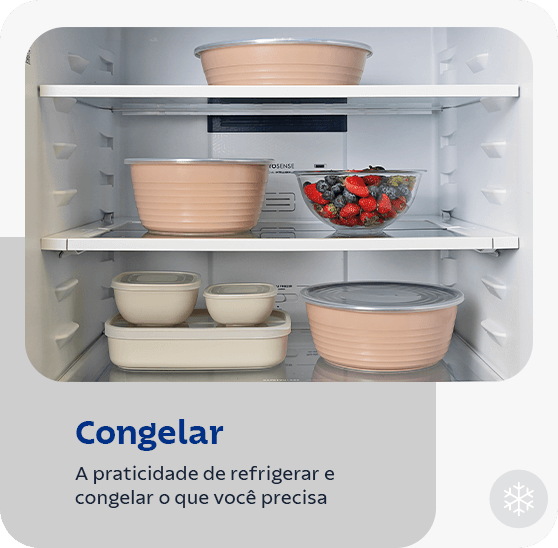 Congelar: a praticidade de refrigerar e congelar o que você precisa.