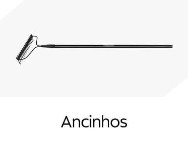 Ancinhos 
