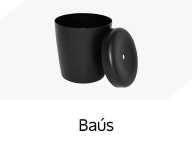 Ba&uacute;s